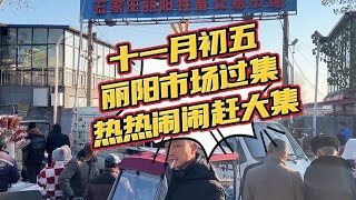 丽阳市场今天过大集，骑乘马帅气漂亮的很多，赶集的人集成疙瘩【丽阳牲畜市场】