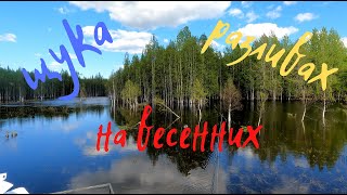 Вся рыба на разливе. Спиннинг и нецепляющая незацепляйка.