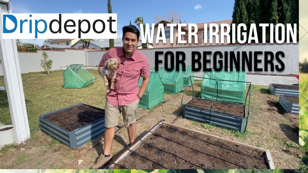 Drip Irrigation For Beginners - The Dripdepot System Using B-hyve - YouTube