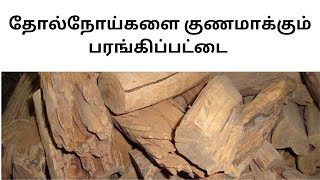 தோல் நோய்களை குணமாக்கும் பரங்கி பட்டை china root powder for skin diseases