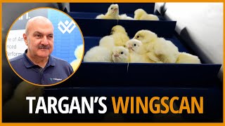 AI meets poultry: the science behind Targan’s WingScan innovation