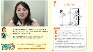 オンライン英会話: idiom英語レッスン42/100