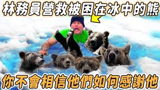 林務員營救被困在冰中的熊。你不會相信他們如何感謝他！#動物 #熊#暖心 #不可思議