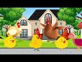 ayamku kok kok kok ~ induk dan anak ayam mencari makan ~ lagu anak indonesia