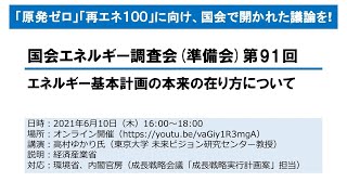 国会エネルギー調査会（準備会）第91回