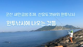 새만금 낚시 군산 새만금방조제 선유도갯바위 원투낚시 원투낚시에 나오는 것은?! 루어 낚시는 꽝 ㅋㅋ FISHING