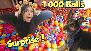 Surprising My DOG with 1,000 Colourfull Balls!! 😱 *Hilarious Reaction*