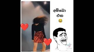 අම්බෝ ඒක