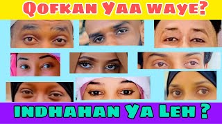 Sheeg indhahan Yaa leH || Suaalo Tv