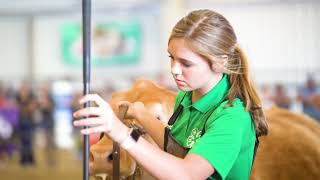 California Youth Ag Expo - Grand Drive