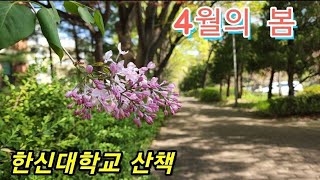 4월의봄,한신대학교