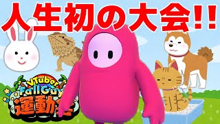 【生放送録画】人生初のフォールガイズ大会「VFG運動会」に出る【悔しすぎる】