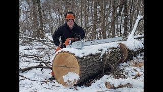 #372 The Story of The GREATEST FIREWOOD SCORE!