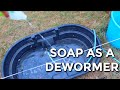 Time For Our Cows Quarterly Soap Dewormer