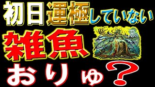 【初回139泥運極達成】1降臨で運極できる！要点ポイント解説付きカウシーディヤ徹底攻略解説【モンスト】