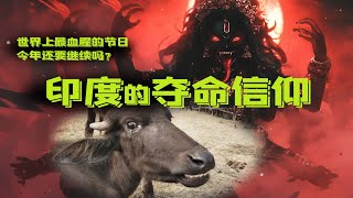 印度教｜嗜血殺戮瘋狂亂交的夏克堤派有多邪門？萬惡的加迪邁節竟是越獄逃犯的荒誕狂歡！薩克蒂派供奉的時母迦梨和難近母杜爾迦究竟是女神還是魔頭？左道性力派輪坐禮拜實為淫亂大趴！｜古靈精怪我老秦