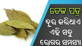 ତେଜ ପତ୍ର ଦୂର କରେ ଏହିସବୁ ରୋଗର ସମସ୍ୟା - ଜାଣନ୍ତୁ ଏହା ବିଷୟରେ- Sadhubani / Odiabayagita tips |