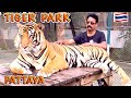 Tiger Park || Played With Real Tiger’s in Tiger Park Pattaya || Thailand🇹🇭2023