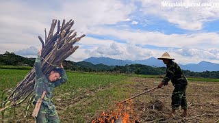 Reclaiming corn fields, finding lost mother goats, collecting firewood for storage (EP216)