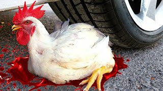 Experiment: Car Vs Motu Patlu Hen Chicken | Crushing Crunchy \u0026 Soft Things By Car