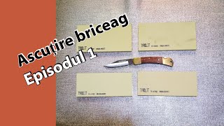 Ascutire briceag cu pietre Tyrolit impregnate cu sulf