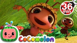 Ants Go Marching + More Nursery Rhymes & Kids Songs - CoComelon
