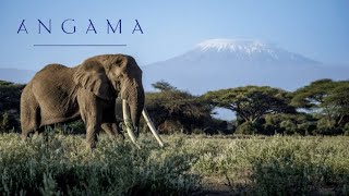 Angama Amboseli, Kimana, Kenya