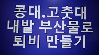 [텃밭농부.467]  콩대 고춧대 내밭 부산물로 퇴비 만들기.퇴비.12월