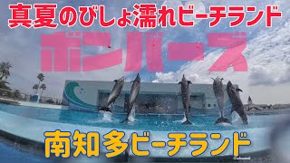 【イルカ】真夏のびしょ濡れビーチランド #南知多ビーチランド