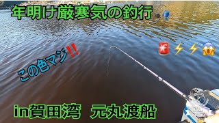 ♯37 厳寒気のかかり釣り‪🎣‬ この時期に赤潮😳‼️