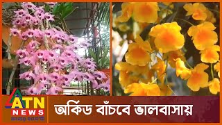 পাহাড়ের বুনো অর্কিড রক্ষায় অভিনব উদ্যোগ | Wild Mountain Orchids | ATN News