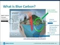 COP-20: Coastal Climate Services - Blue Carbon and Green Infrastructure