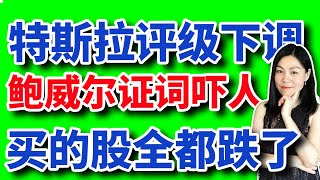 美股分析：鲍威尔证词解读，特斯拉评级下调，我买入的股全部跌。【2023-6-21】