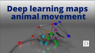 Deep Learning Maps Animal Movement