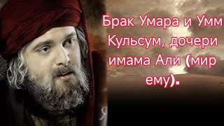 Брак Умара и Умм Кульсум, дочери имама Али (мир ему).