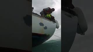 Coast Guard rescues man with dog from sinking in ship off coast of Sanibel Island in Florida