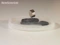 material magic objects with hidden talents