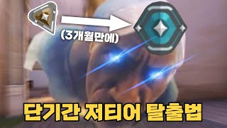 5개월차 다이아가 알려주는 저티어 꿀팁