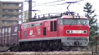 ﾚｯﾄﾞｻﾝﾀﾞｰEF510-18牽引高速貨物4060ﾚ　札幌→大阪