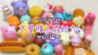 【音ズレ注意】スクイーズ大量購入品紹介！~NIC編~