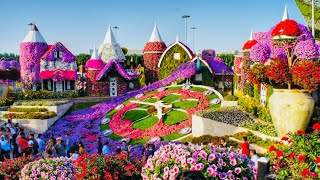 Miracle Garden Dubai 2022 || The world’s largest natural flower garden