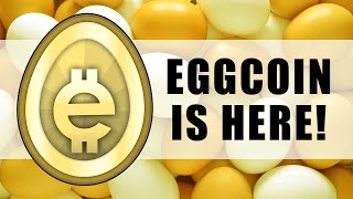 Newegg Introduces EGGCOIN