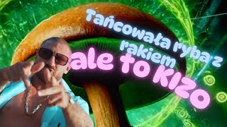 Tańcowała ryba z rakiem x Kizo  - Pogo (Avens blend) [Krystek x Kizo] TIK TOK 2025