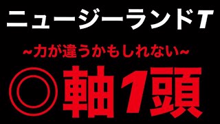 2020年 ニュージーランドトロフィー 力が違うかもしれない軸1頭 #164 ★競馬予想★