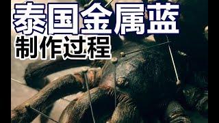 捕鸟蛛标本如何制作？（萝王与尸体系列）