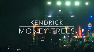 Kendrick Lamar - Money Trees | Coachella 2017