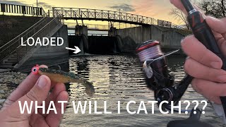 What will I catch out of this LOADED Spillway??? NEW PB!