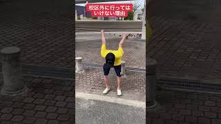 校区外に行ってはいけない理由#やすこうぴ #shorts #tiktok #やってんやん #あるある#校区外