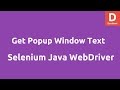 Get Popup Window Text using Selenium Java