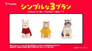 Y!mobile「バカボン一家、猫になる 全プラン980円」篇